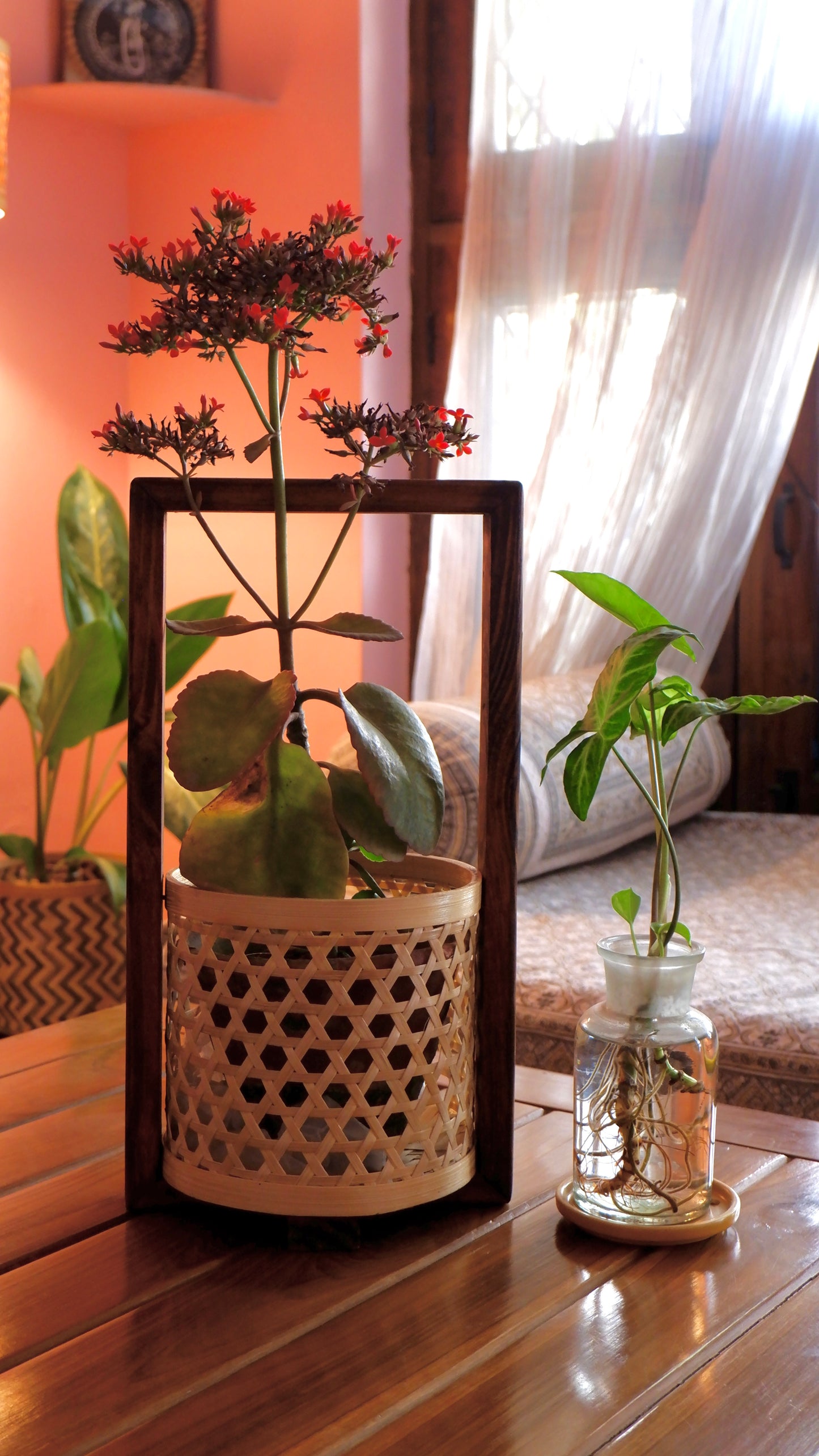 Bamboo Star Weave Planter With Handle