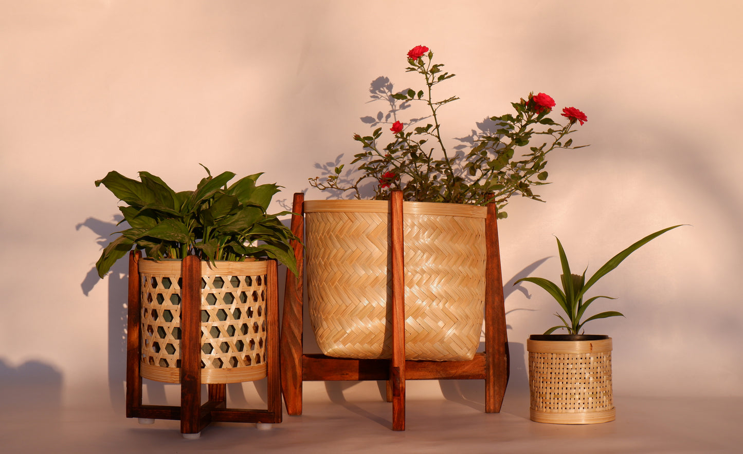 Classic Bamboo Star Weave Planter