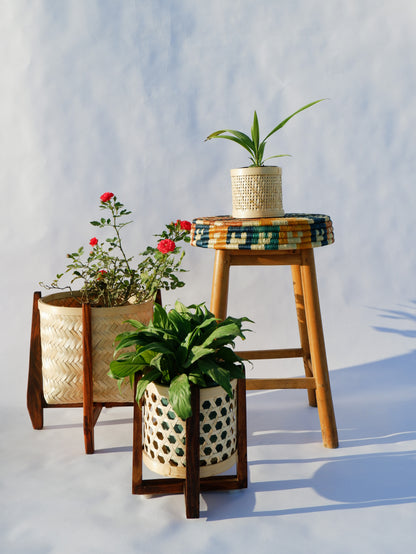 Classic Bamboo Star Weave Planter