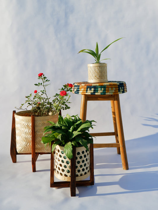 Classic Bamboo Star Weave Planter