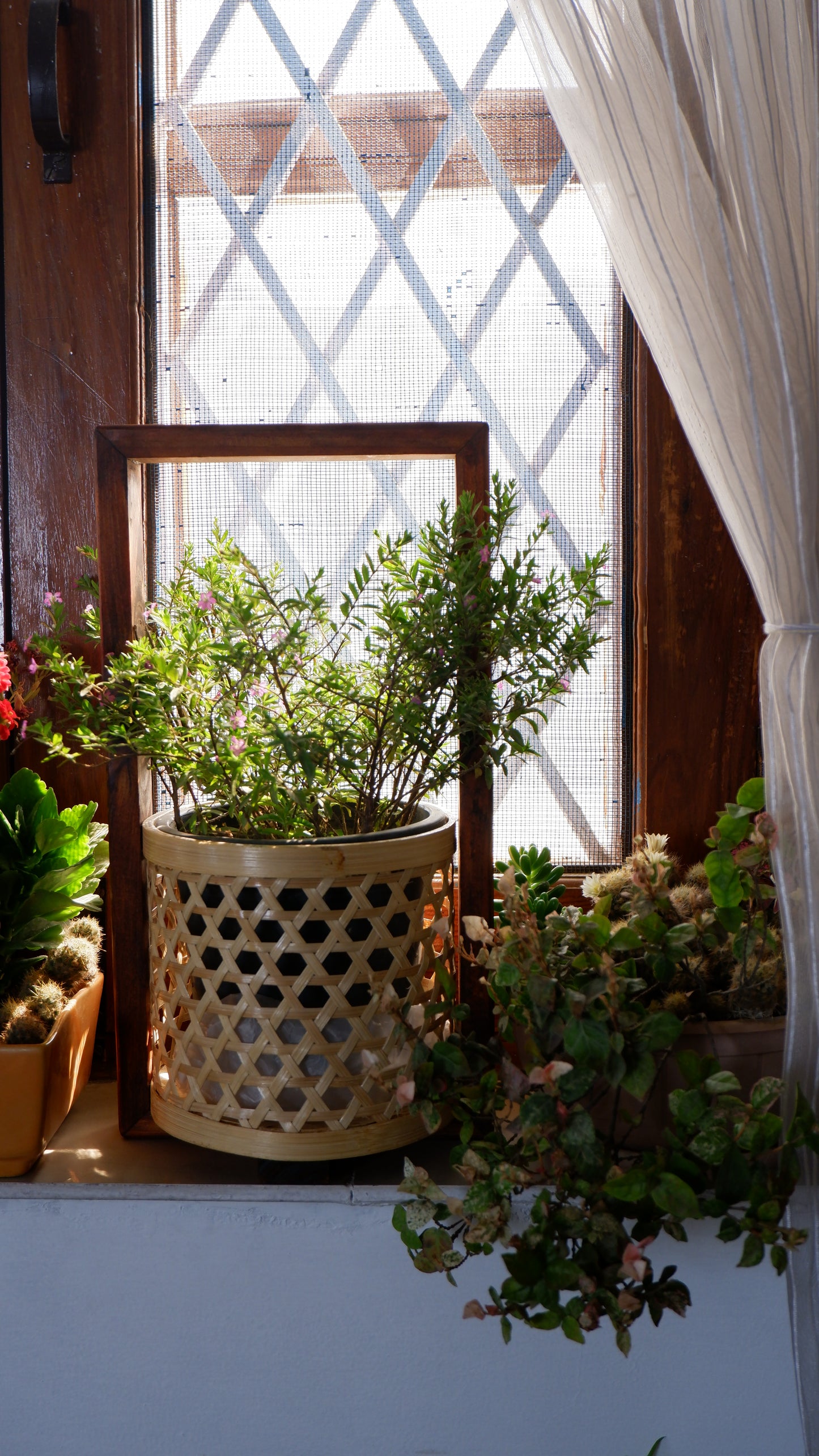 Bamboo Star Weave Planter With Handle