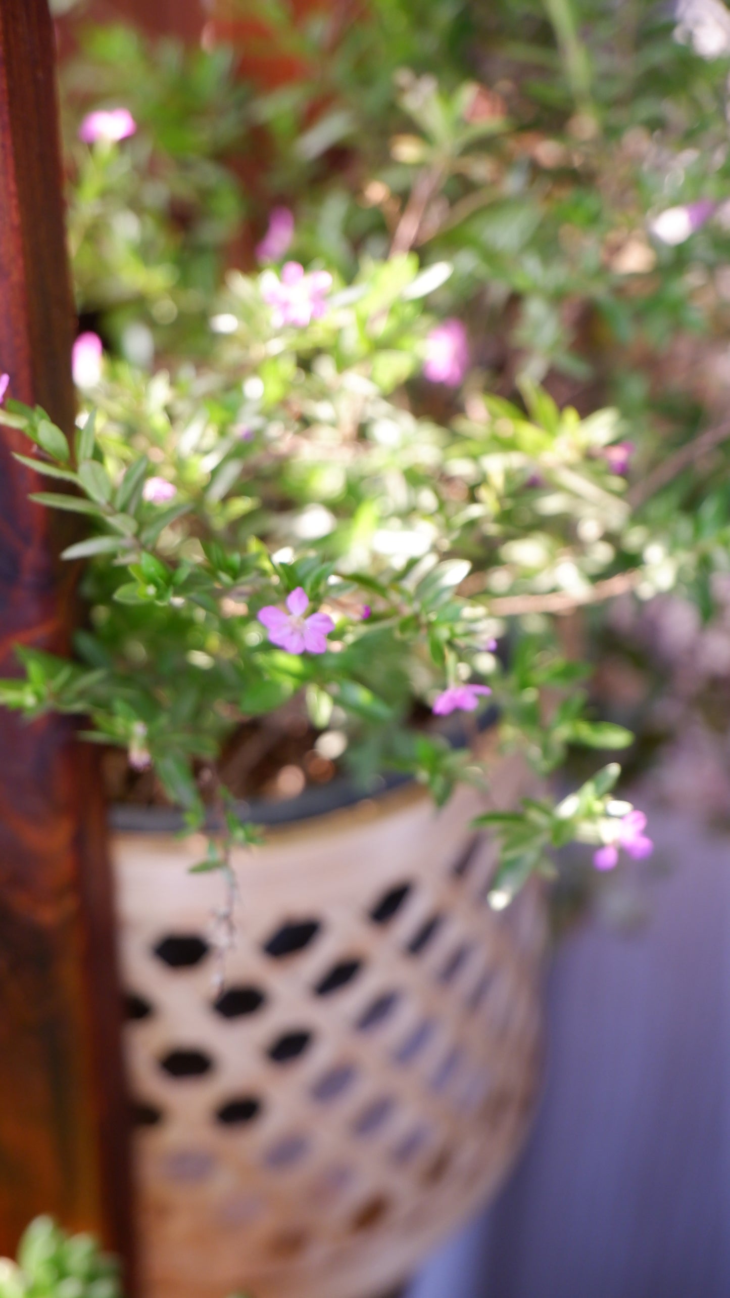 Bamboo Star Weave Planter With Handle