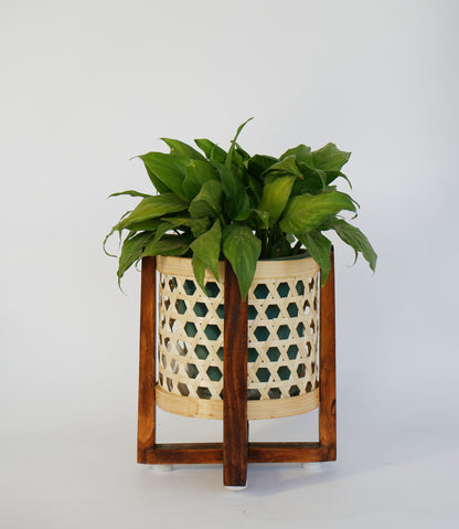 Classic Bamboo Star Weave Planter