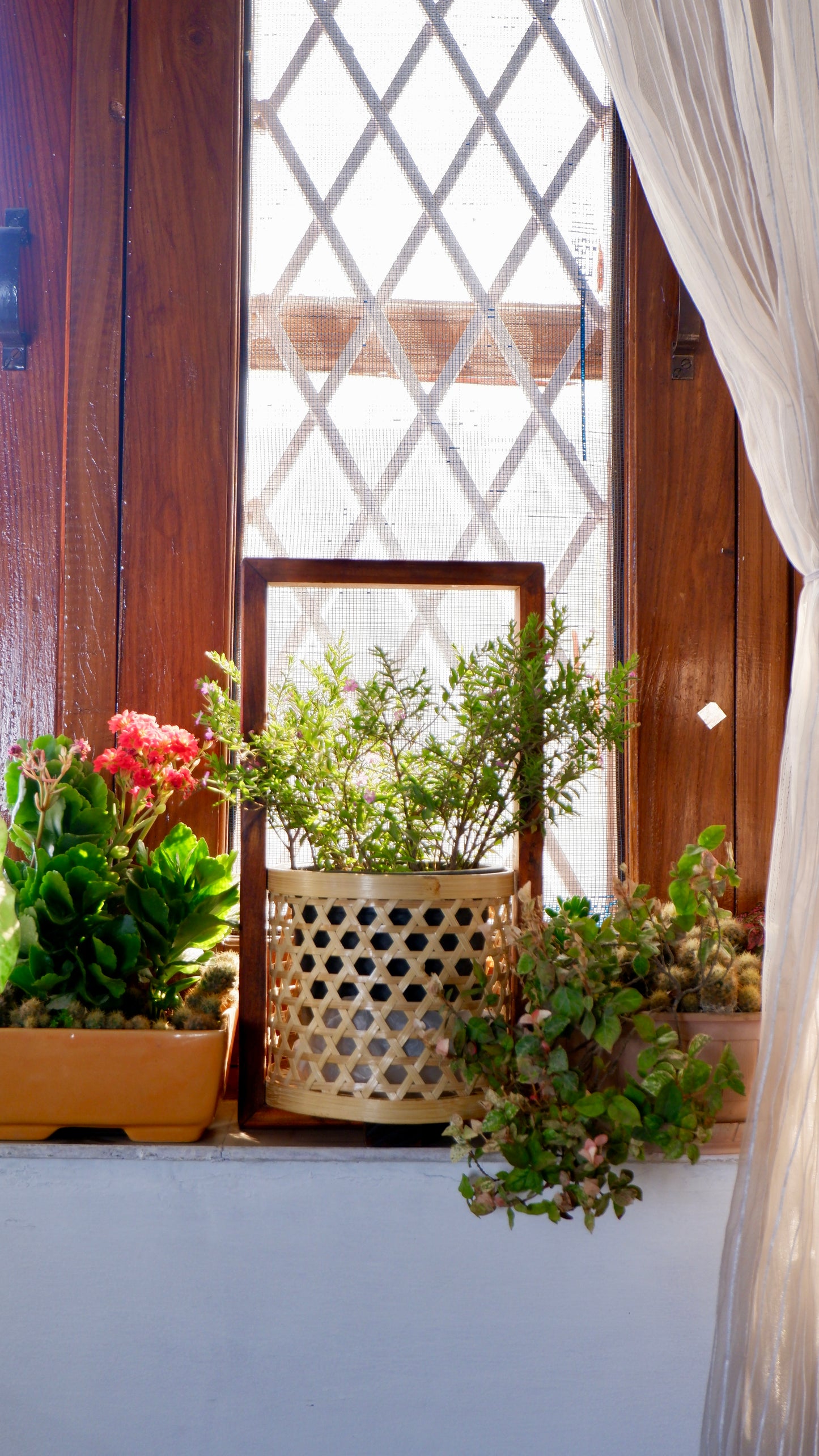 Bamboo Star Weave Planter With Handle