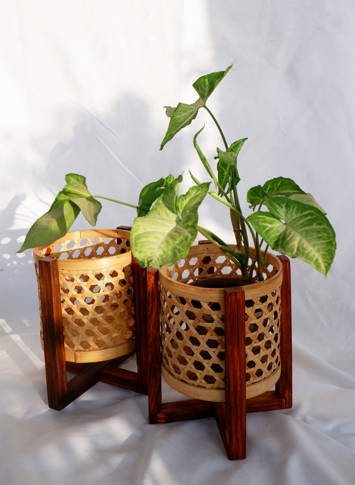 Classic Bamboo Star Weave Planter