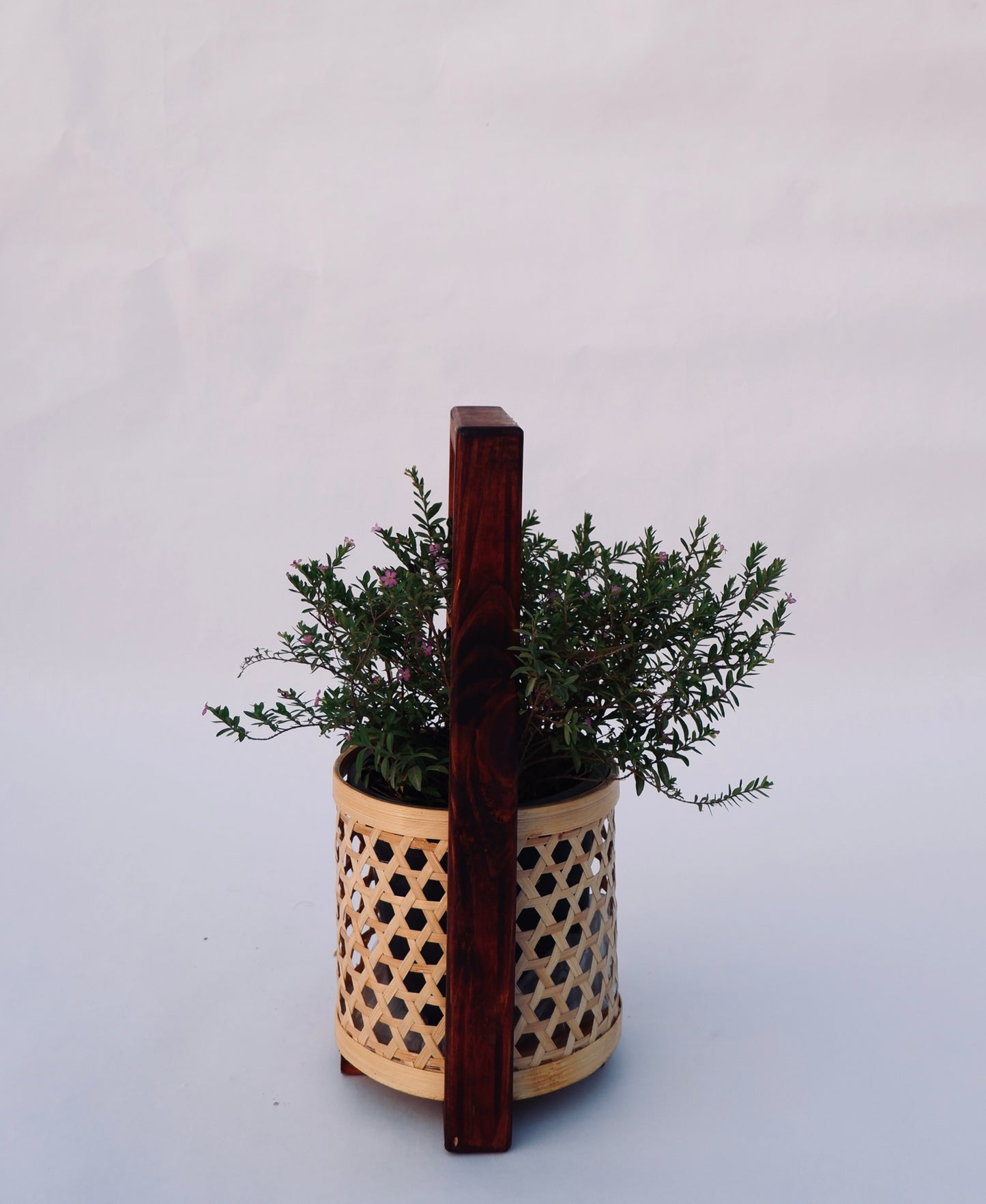 Bamboo Star Weave Planter With Handle