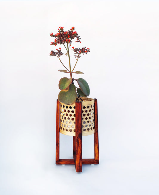 Classic Bamboo Star Weave Planter / Elongated